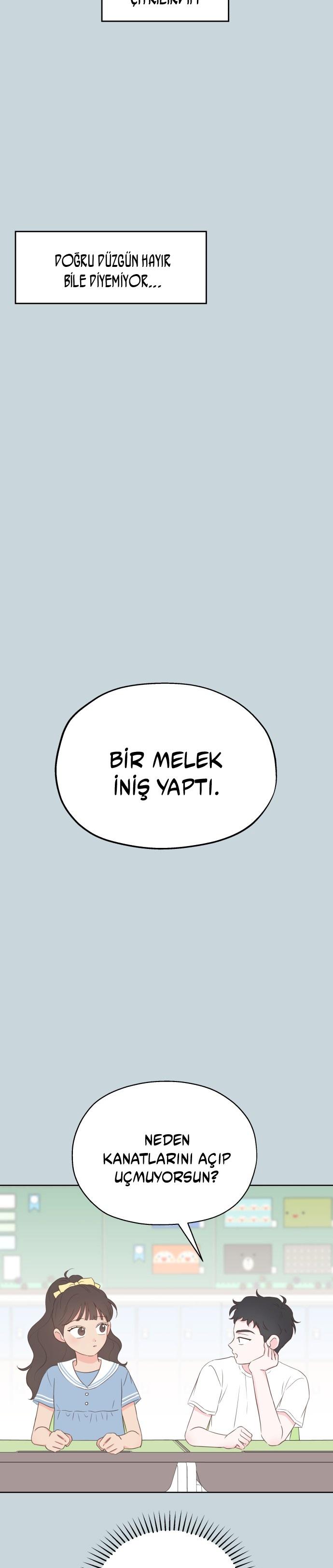 16-cm2xdfr0s0001tt82570od8ls