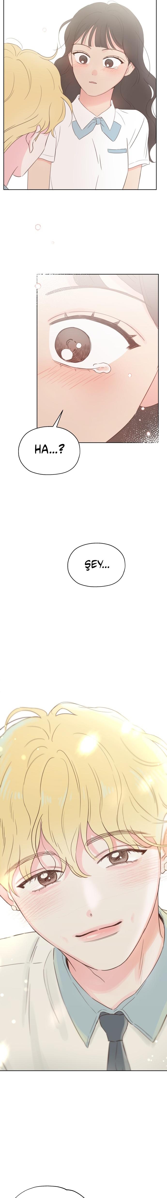 26-cm2xdfr0s0001tt82570od8ls
