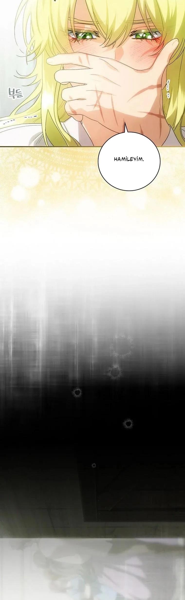 13-cm2xdfr0s0001tt82570od8ls