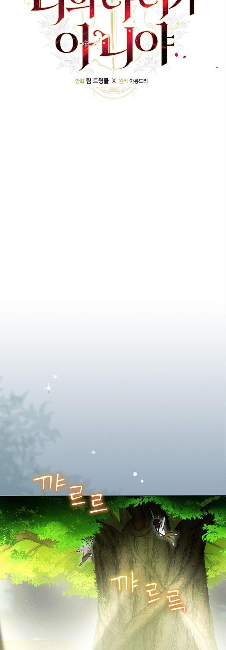 12-cm2xdfr0s0001tt82570od8ls