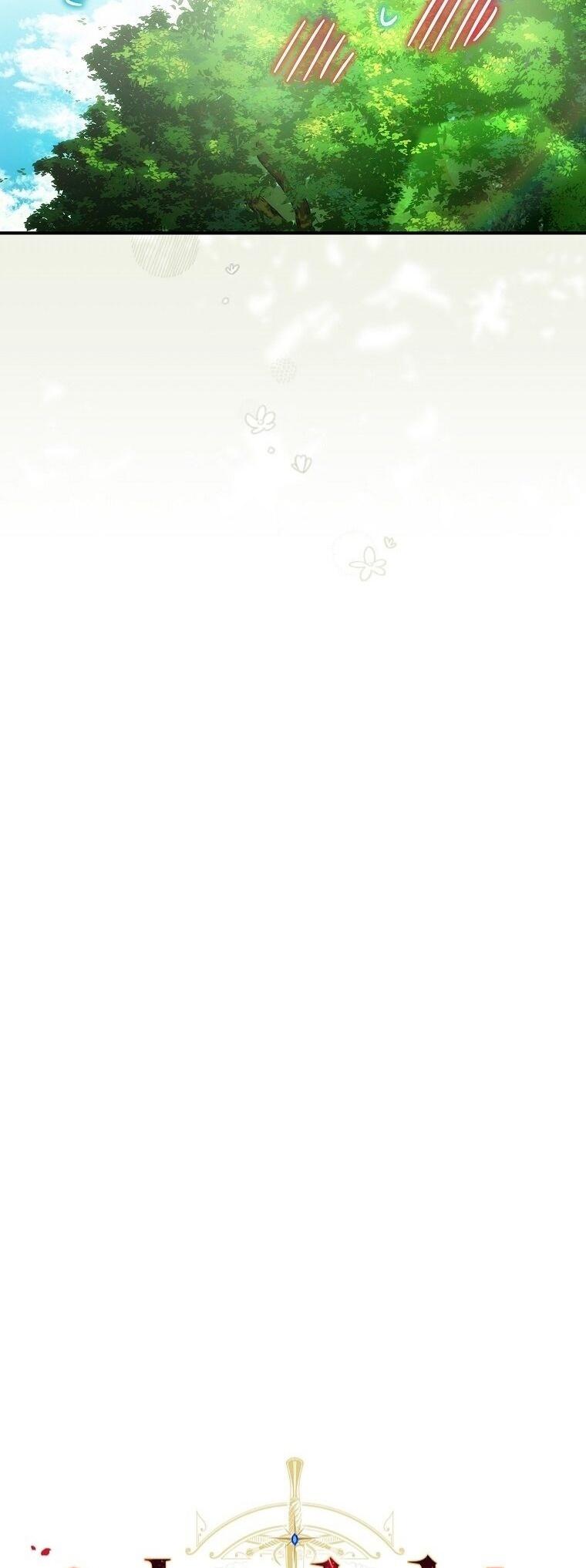 16-cm2xdfr0s0001tt82570od8ls