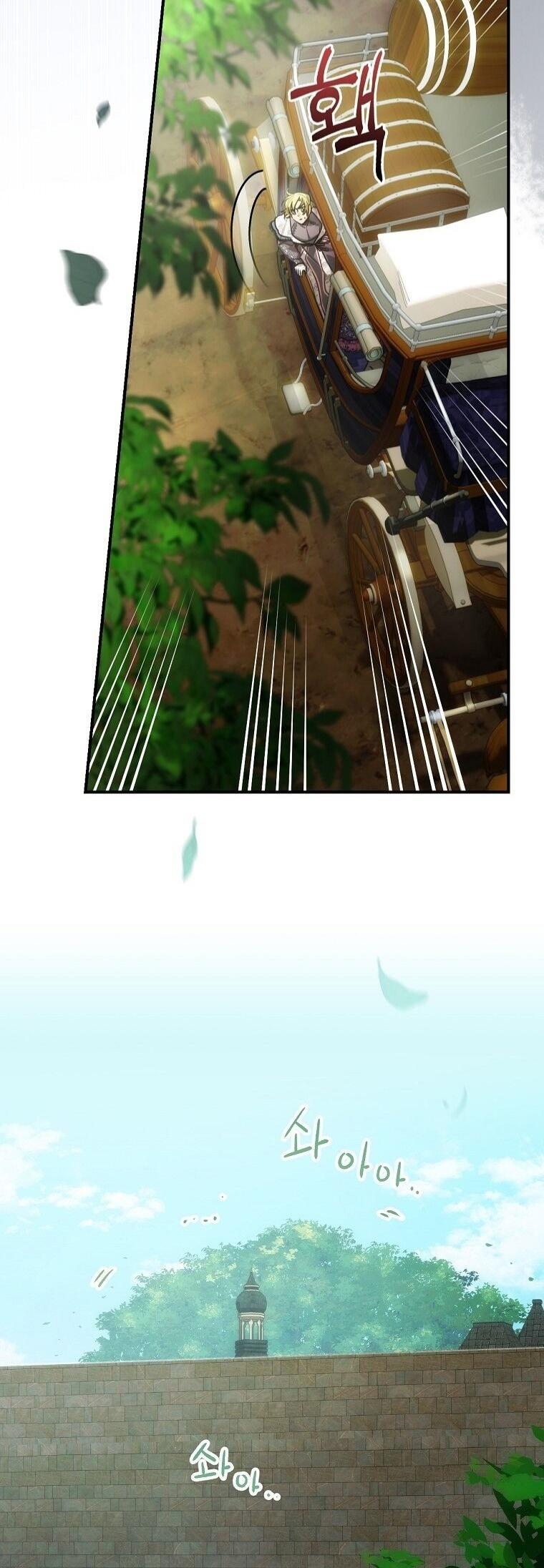 36-cm2xdfr0s0001tt82570od8ls