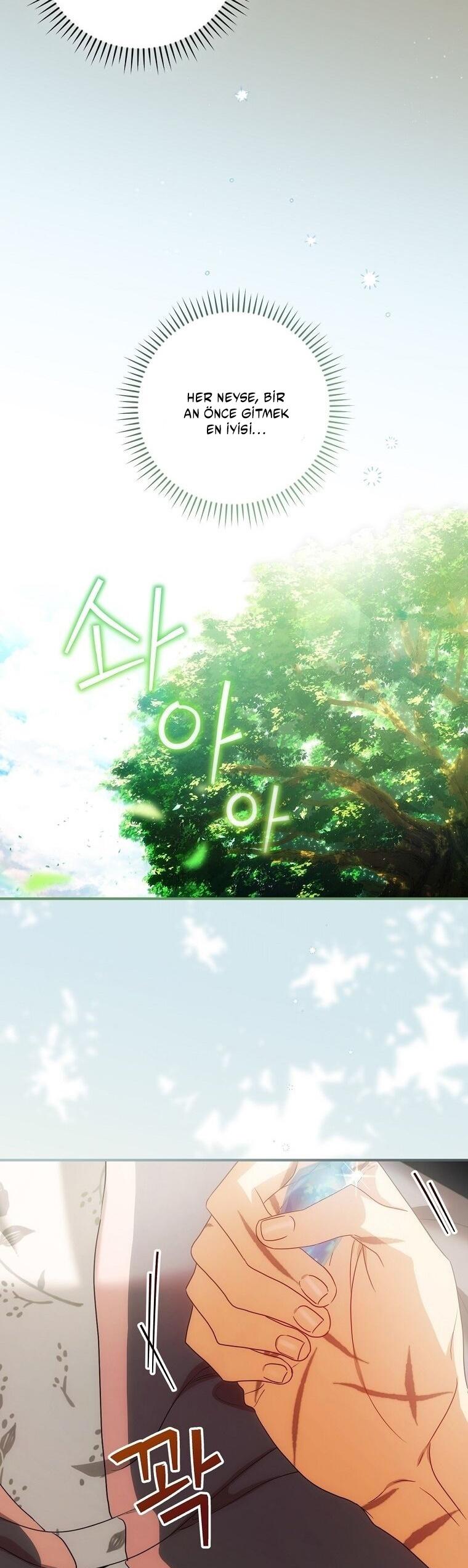 30-cm2xdfr0s0001tt82570od8ls