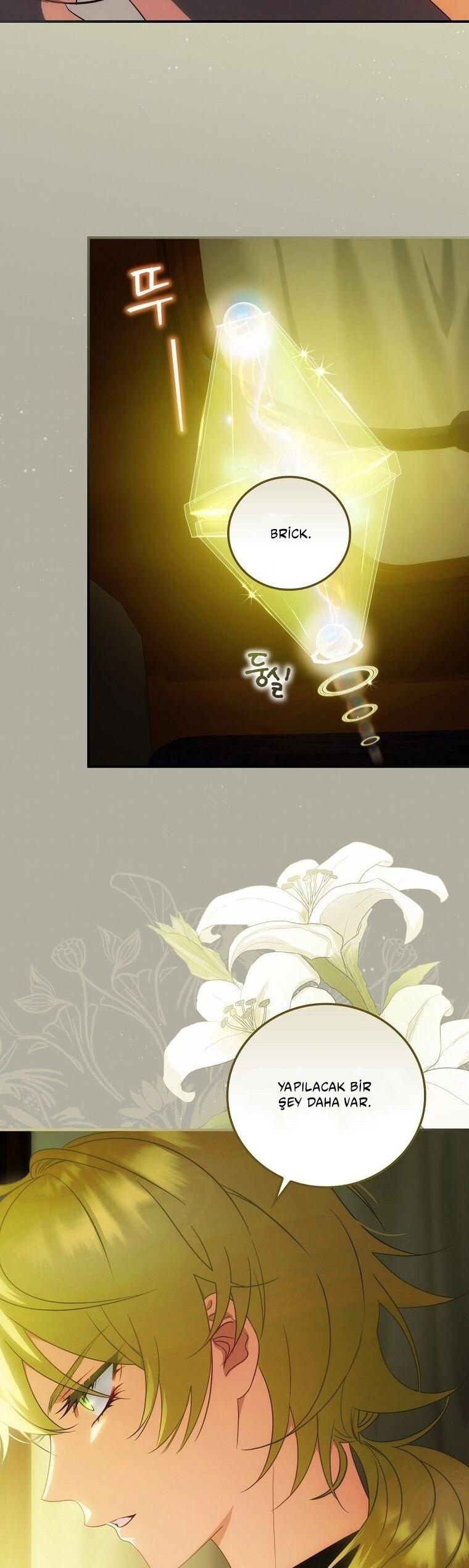31-cm2xdfr0s0001tt82570od8ls