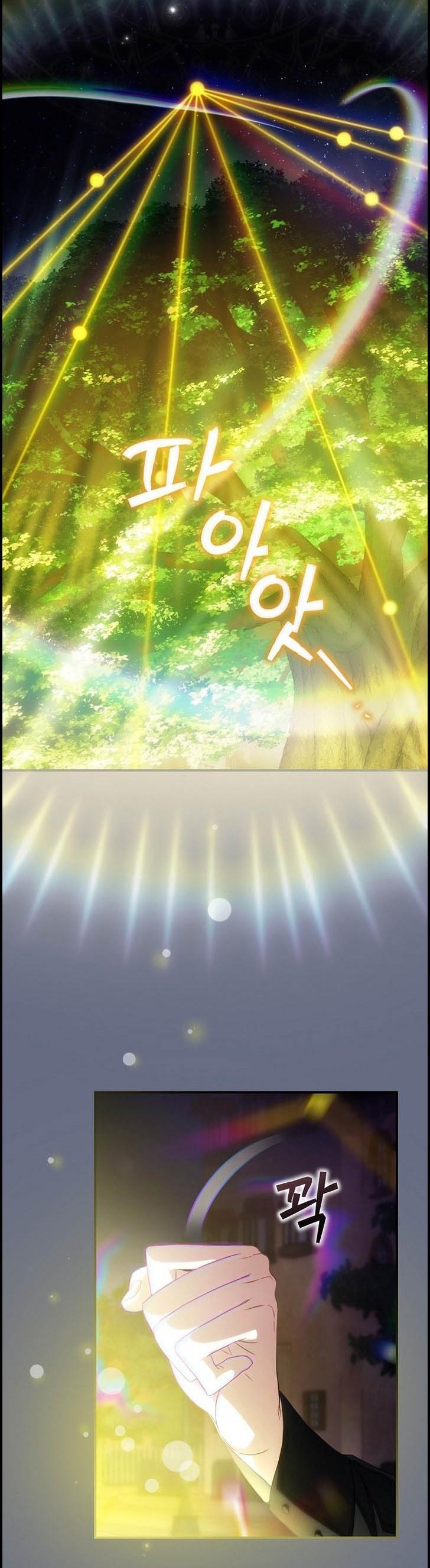 4-cm2xdfr0s0001tt82570od8ls