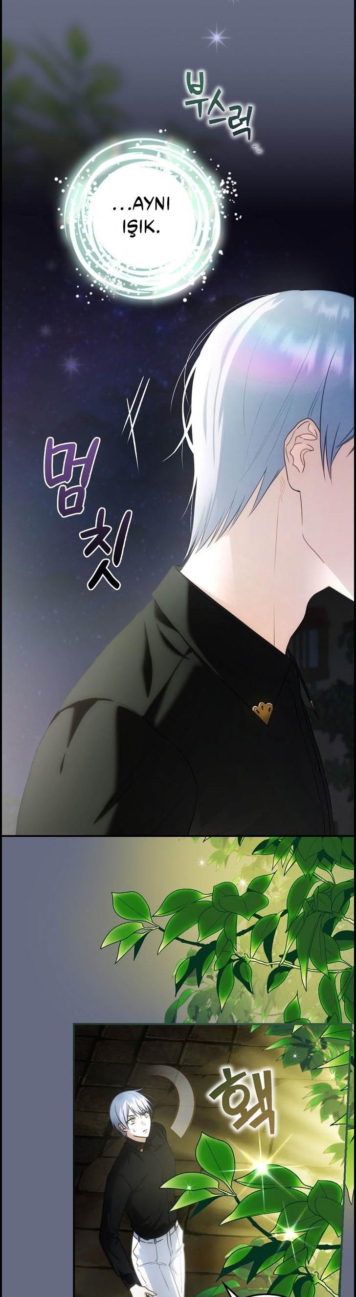 6-cm2xdfr0s0001tt82570od8ls