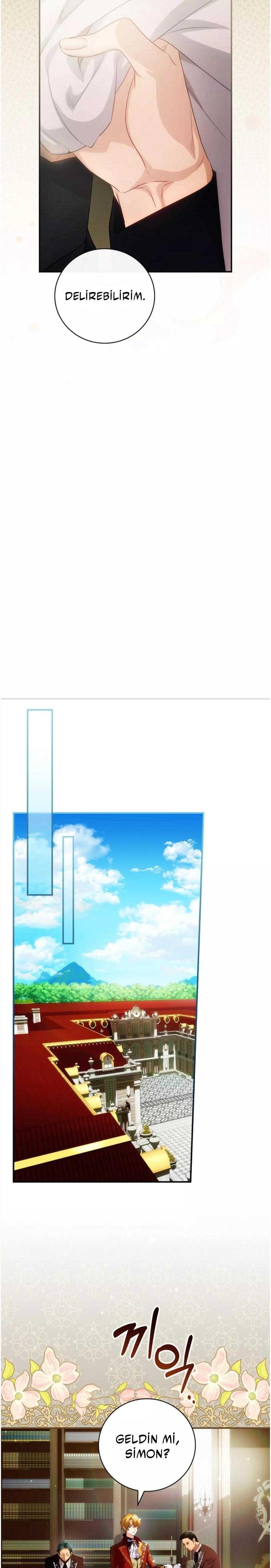 20-cm2xdfr0s0001tt82570od8ls
