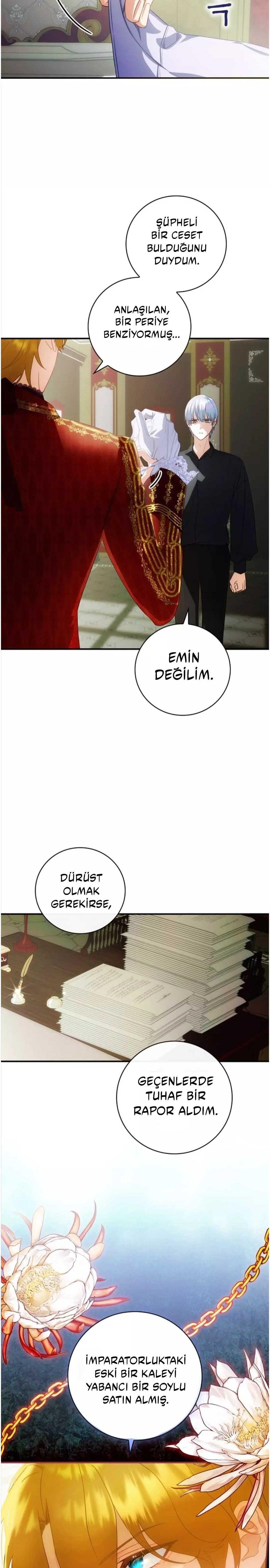 23-cm2xdfr0s0001tt82570od8ls