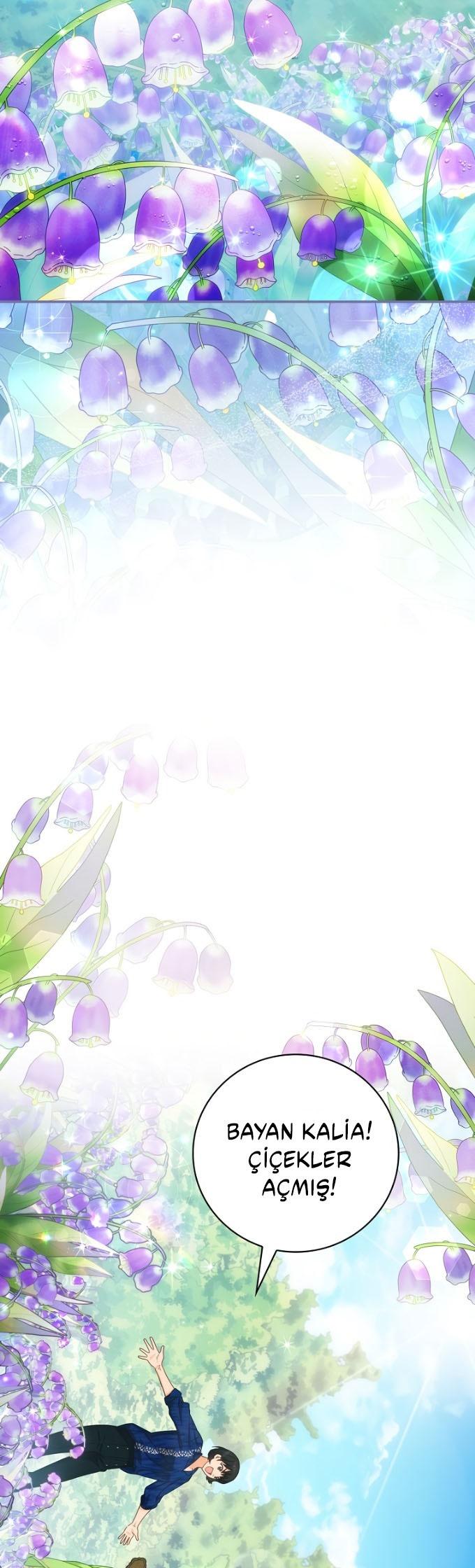 19-cm2xdfr0s0001tt82570od8ls