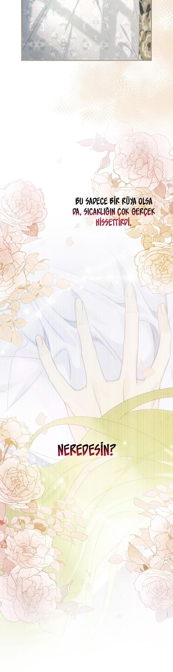 4-cm2xdfr0s0001tt82570od8ls