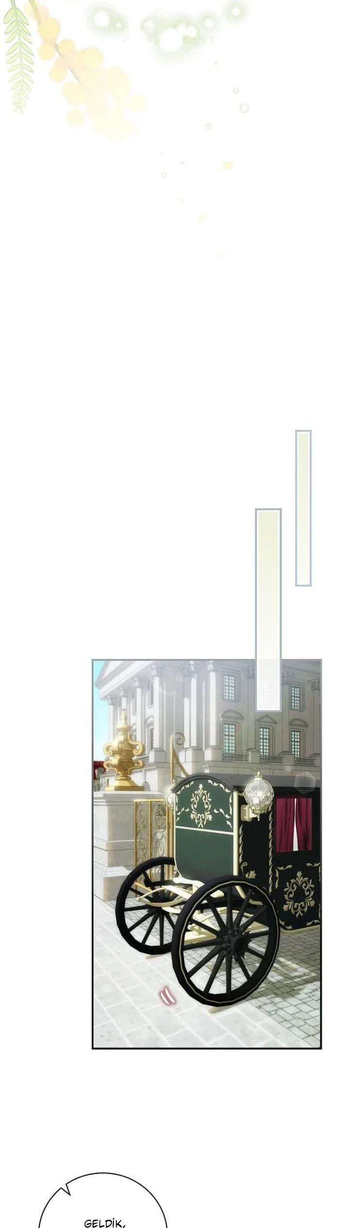21-cm2xdfr0s0001tt82570od8ls