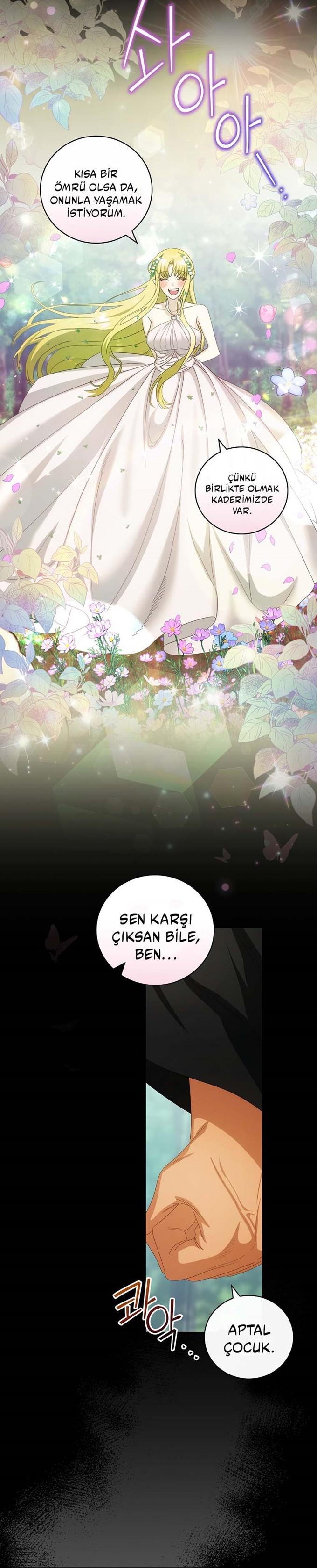 18-cm2xdfr0s0001tt82570od8ls