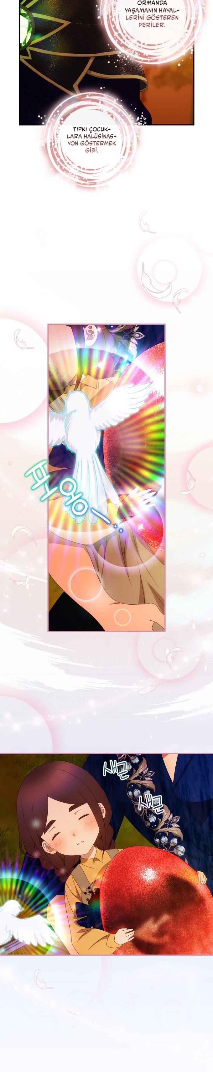 19-cm2xdfr0s0001tt82570od8ls