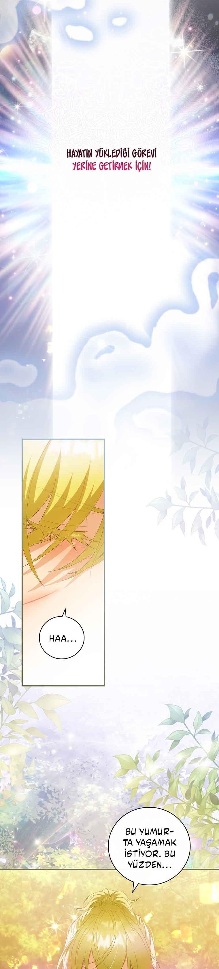 28-cm2xdfr0s0001tt82570od8ls