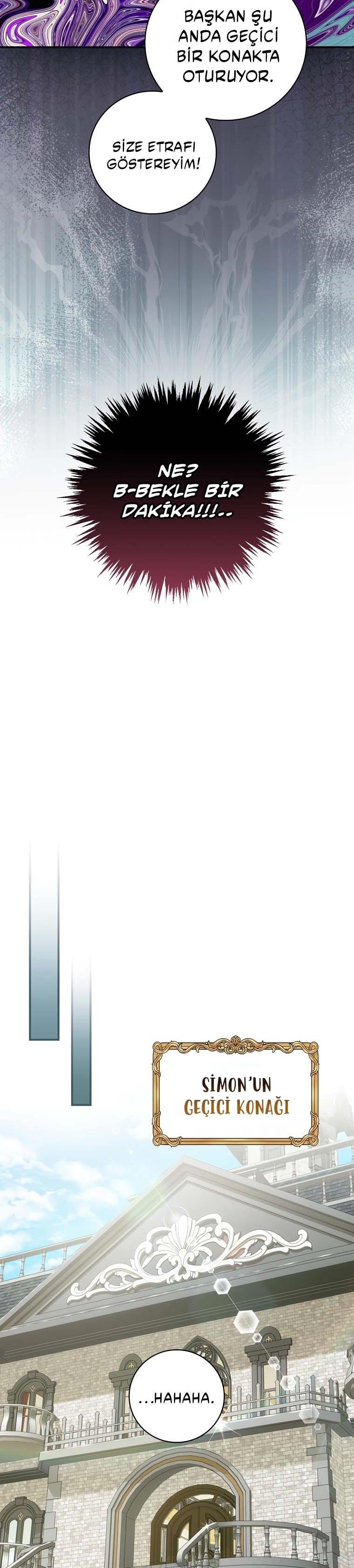 17-cm2xdfr0s0001tt82570od8ls