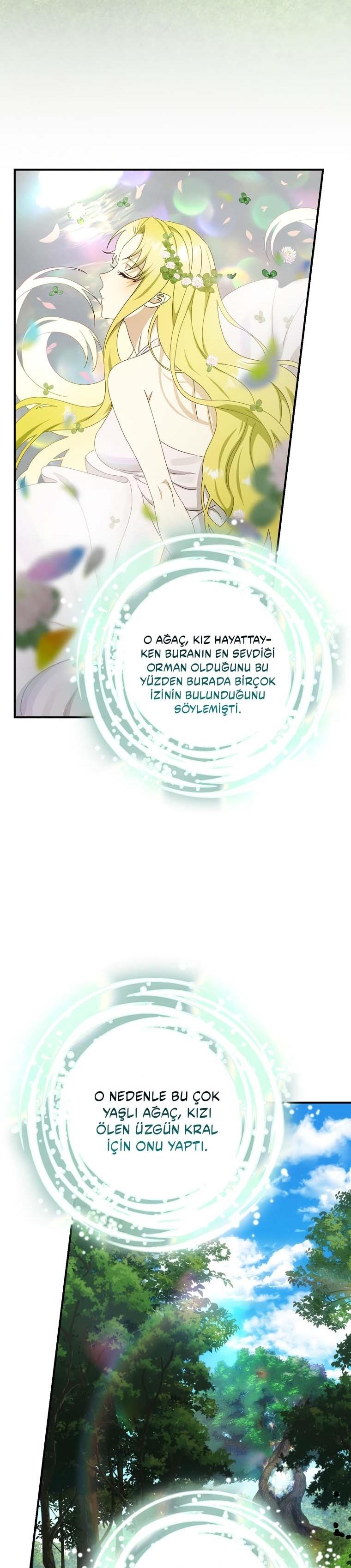 12-cm2xdfr0s0001tt82570od8ls