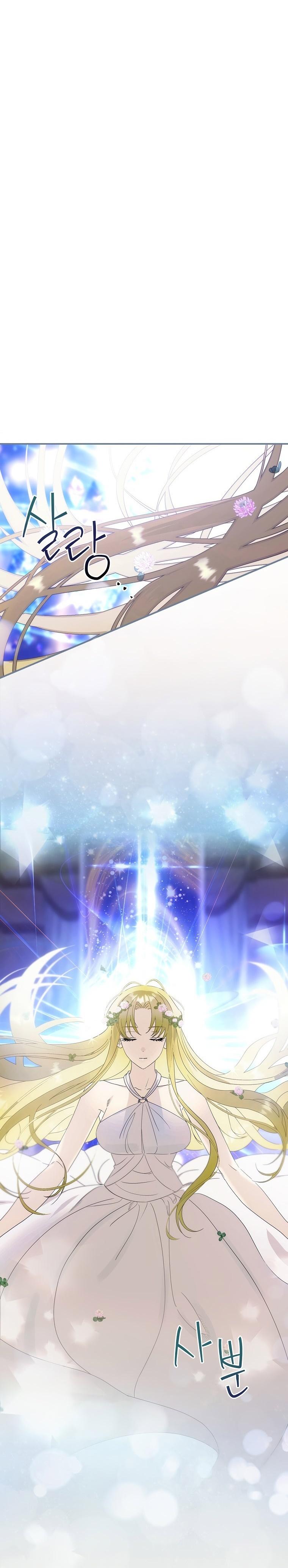 7-cm2xdfr0s0001tt82570od8ls