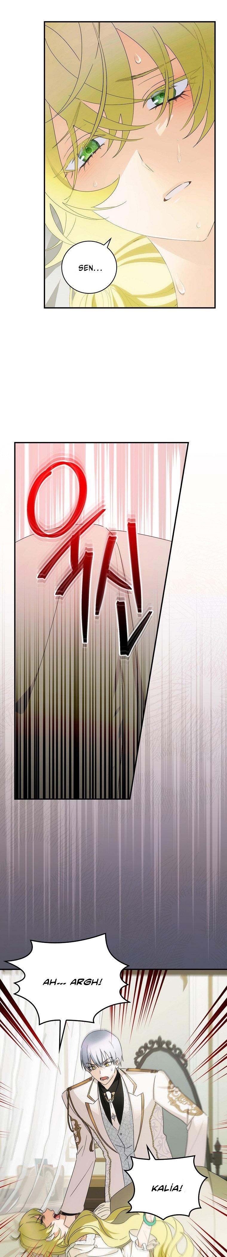 3-cm2xdfr0s0001tt82570od8ls