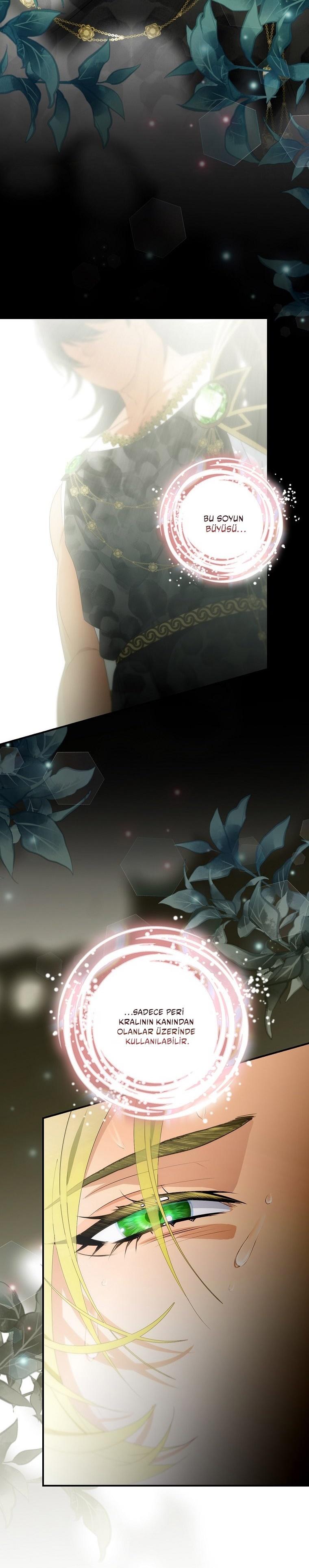 15-cm2xdfr0s0001tt82570od8ls
