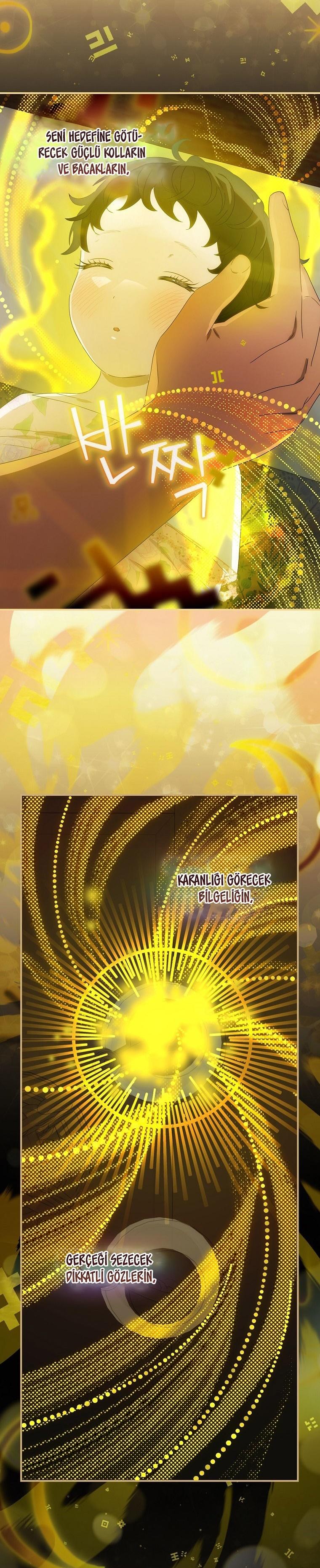 19-cm2xdfr0s0001tt82570od8ls