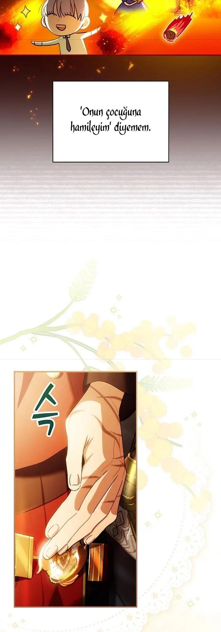 13-cm2xdfr0s0001tt82570od8ls