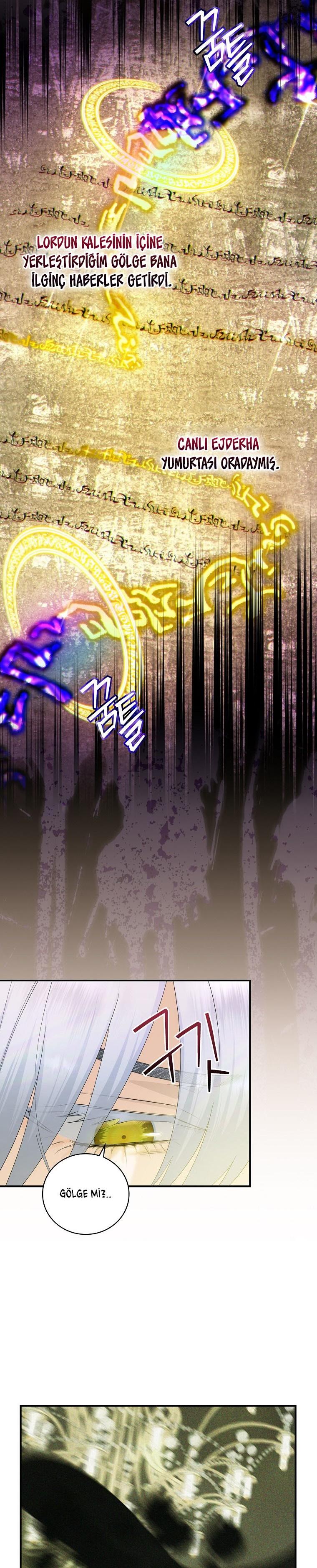 20-cm2xdfr0s0001tt82570od8ls