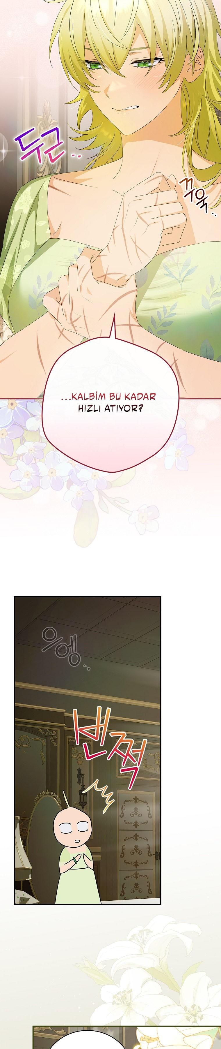 8-cm2xdfr0s0001tt82570od8ls