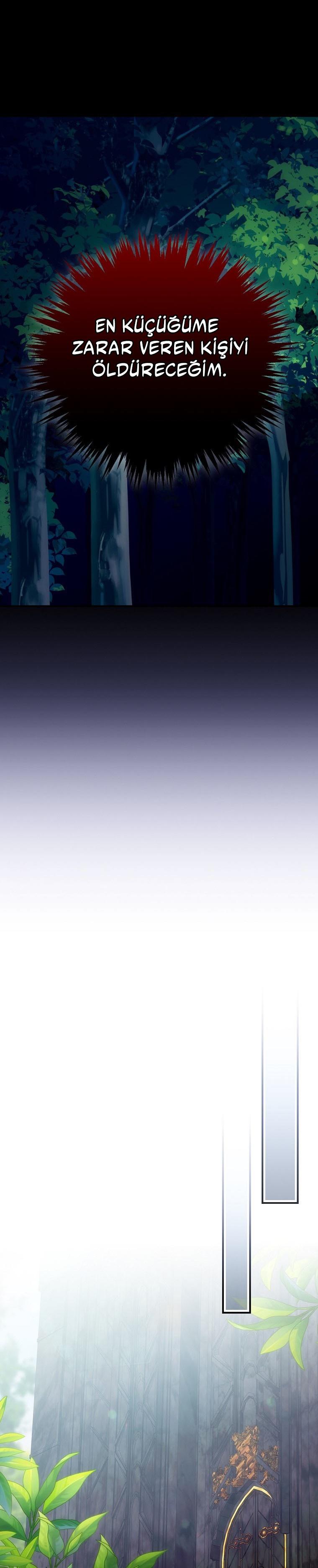 20-cm2xdfr0s0001tt82570od8ls