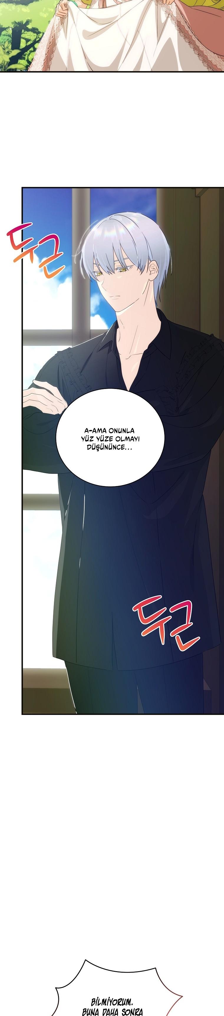 7-cmc1vvo430025phxcd4xhnki2