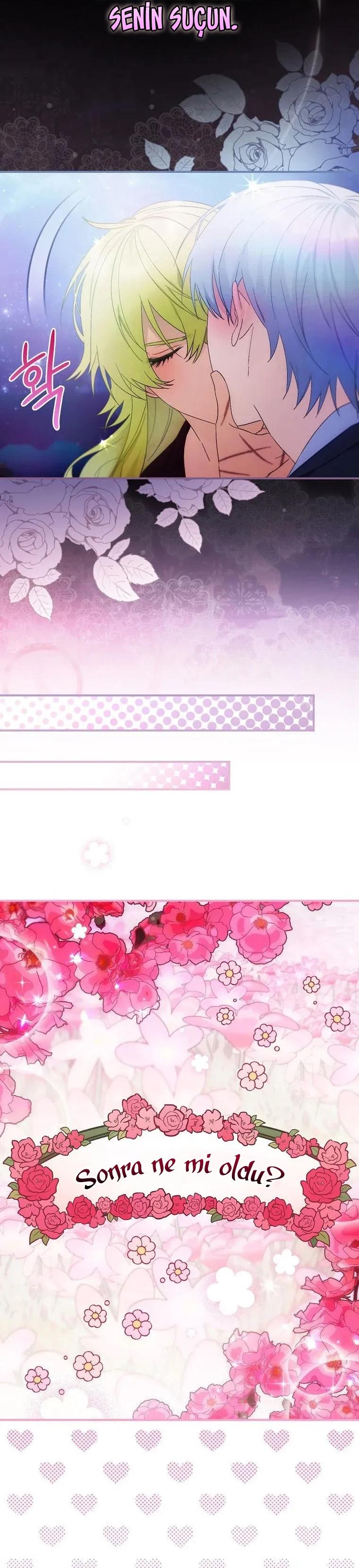 3-cm2xdfr0s0001tt82570od8ls