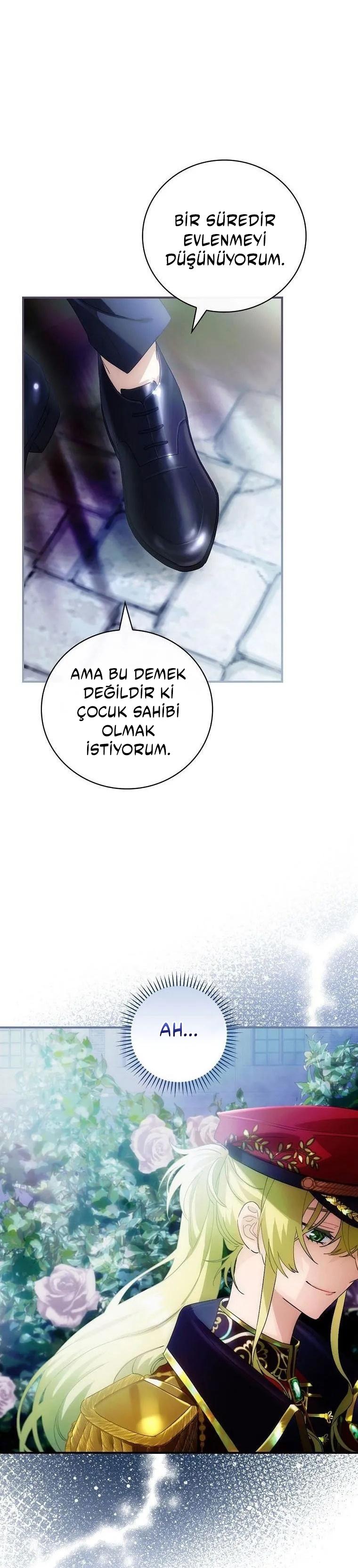 2-cm2xdfr0s0001tt82570od8ls