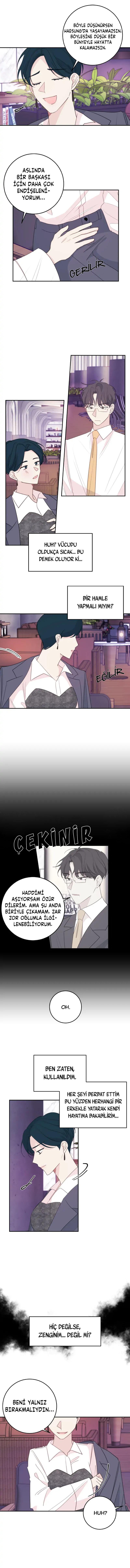 7-cmc1vvo430025phxcd4xhnki2