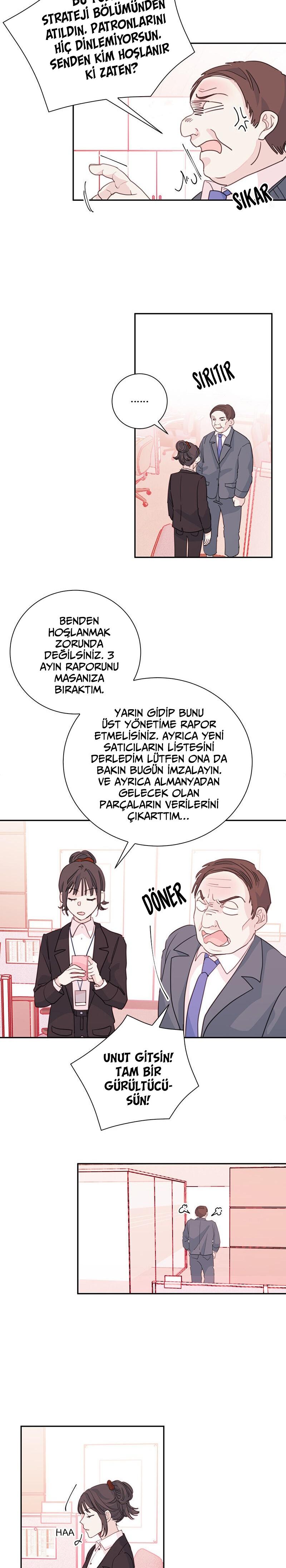 7-cmc1vvo430025phxcd4xhnki2