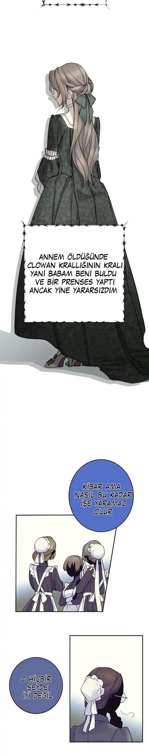 3-cm2xdfr0s0001tt82570od8ls