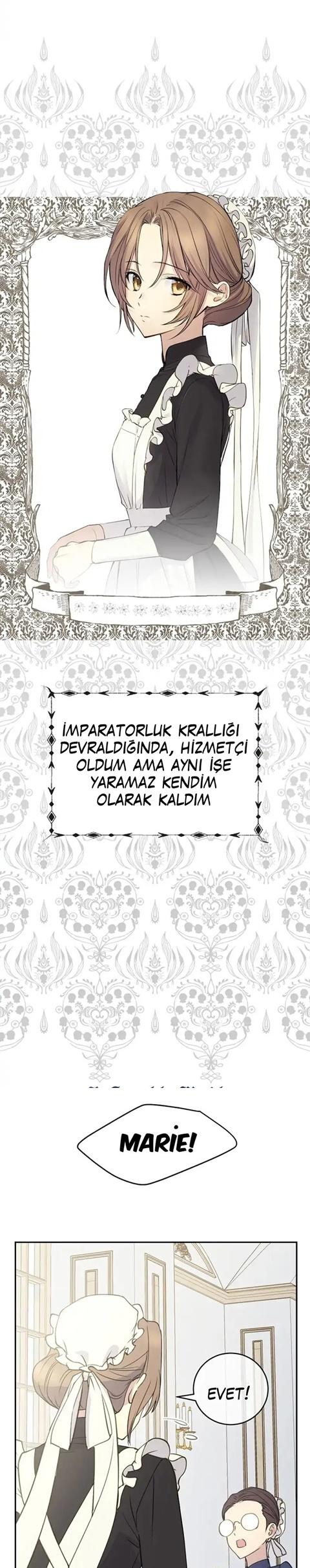 4-cm2xdfr0s0001tt82570od8ls