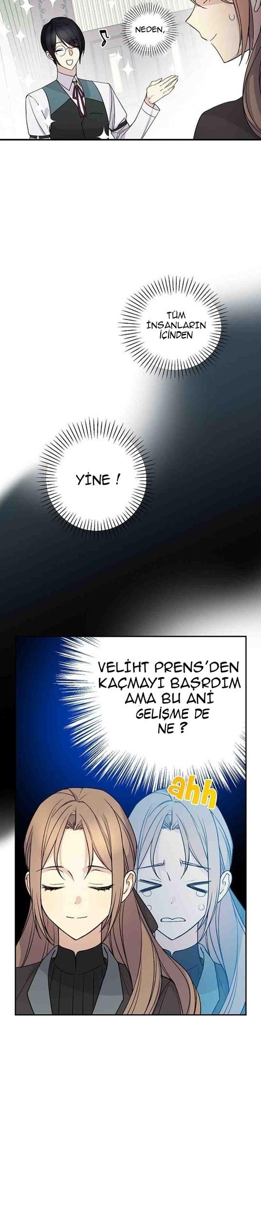 3-cm2xdfr0s0001tt82570od8ls