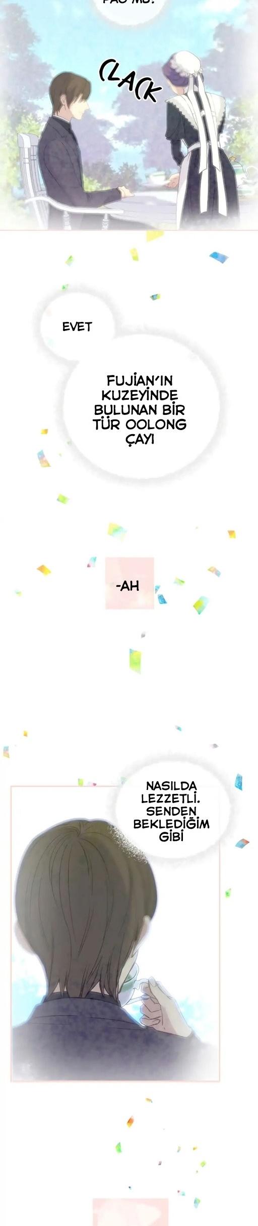 3-cm2xdfr0s0001tt82570od8ls