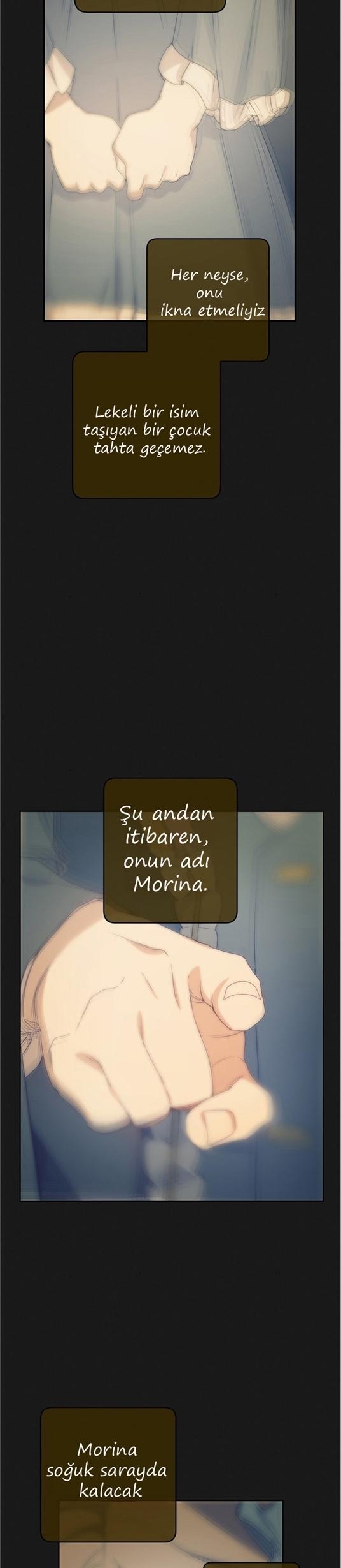 3-cm2xdfr0s0001tt82570od8ls