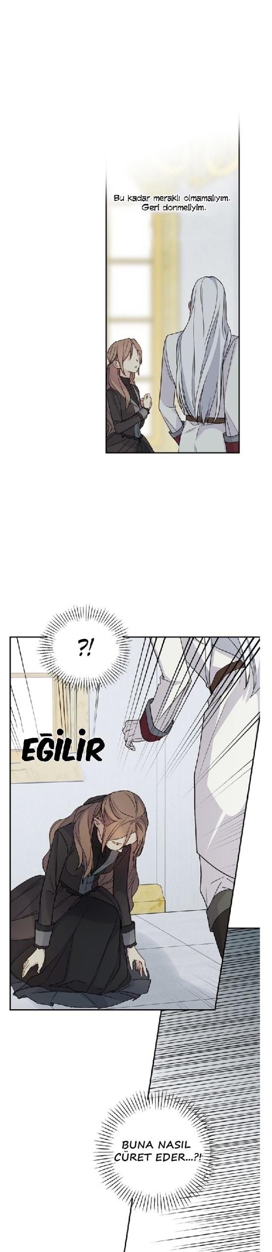 20-cm2xdfr0s0001tt82570od8ls