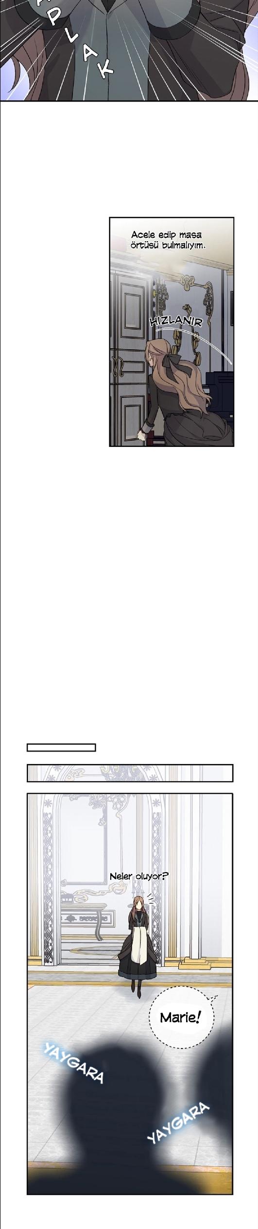 11-cm2xdfr0s0001tt82570od8ls