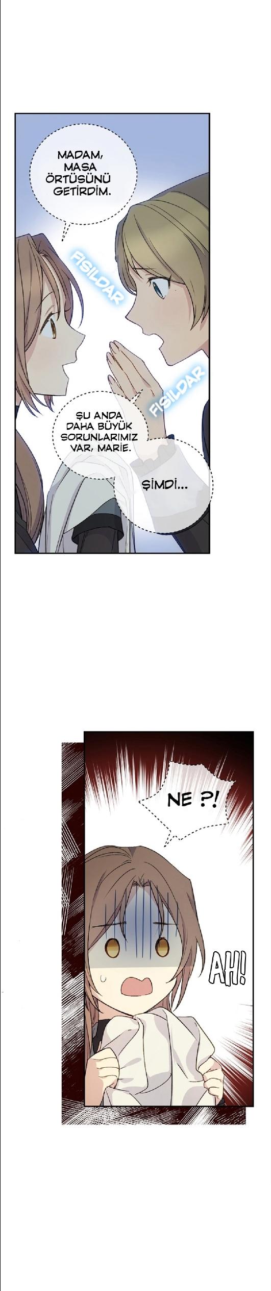 12-cm2xdfr0s0001tt82570od8ls