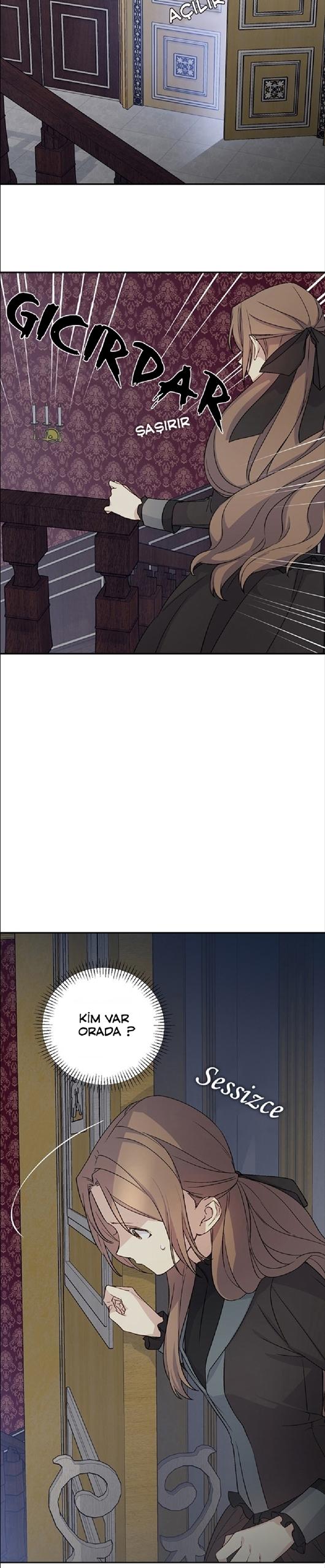 24-cm2xdfr0s0001tt82570od8ls