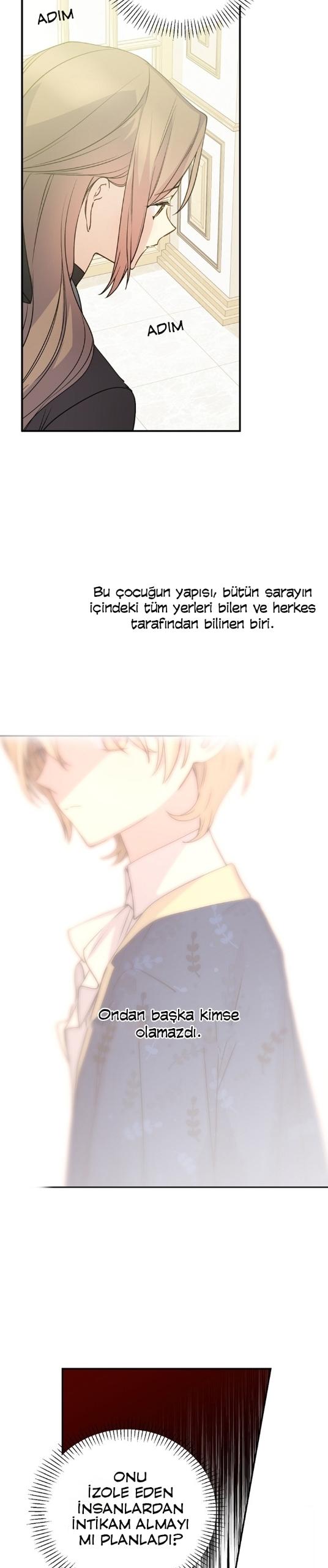 3-cm2xdfr0s0001tt82570od8ls