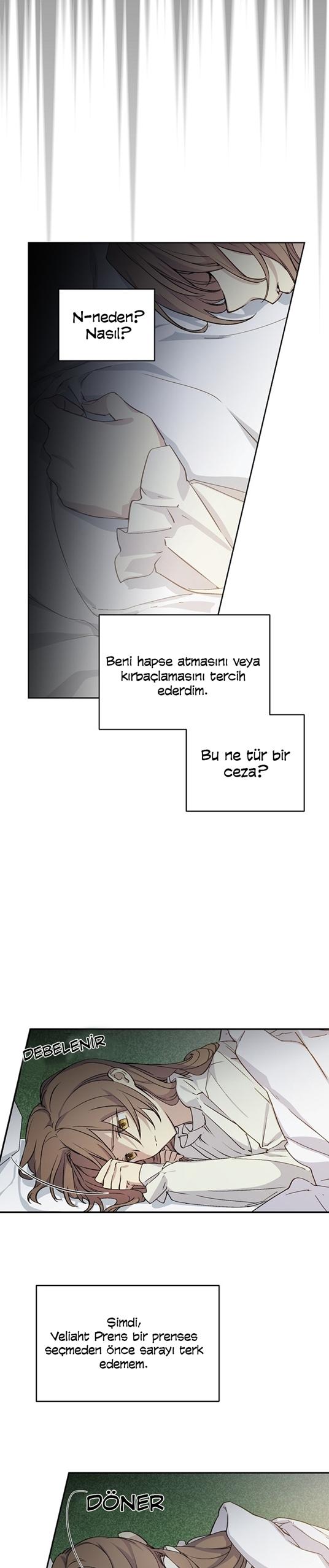 3-cm2xdfr0s0001tt82570od8ls