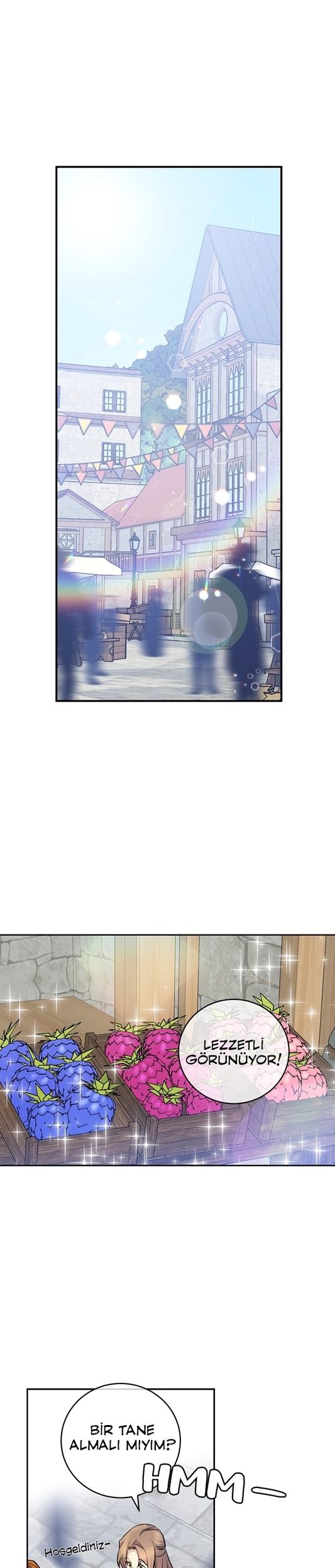 2-cm2xdfr0s0001tt82570od8ls