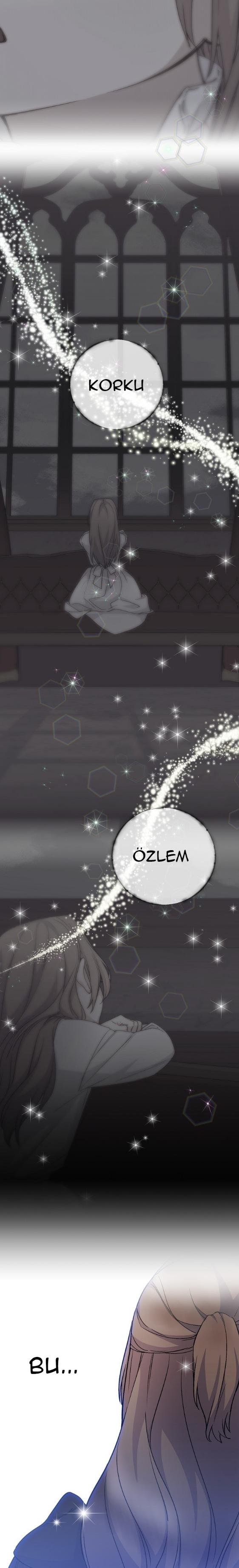 13-cm2xdfr0s0001tt82570od8ls