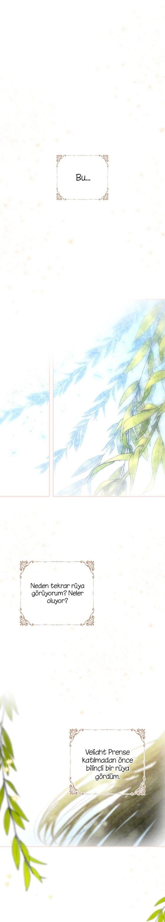 18-cm2xdfr0s0001tt82570od8ls