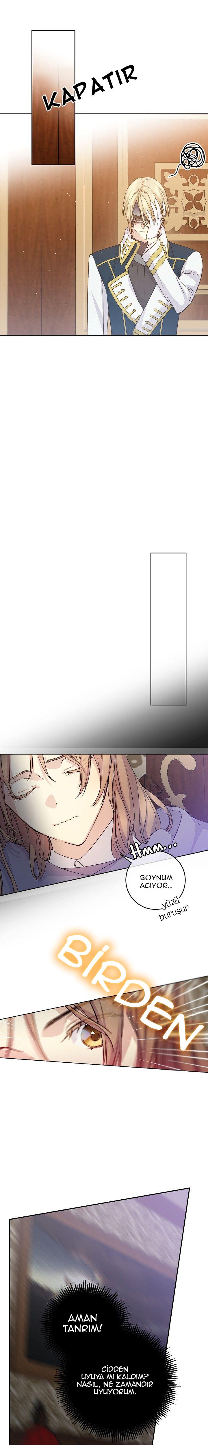 15-cm2xdfr0s0001tt82570od8ls