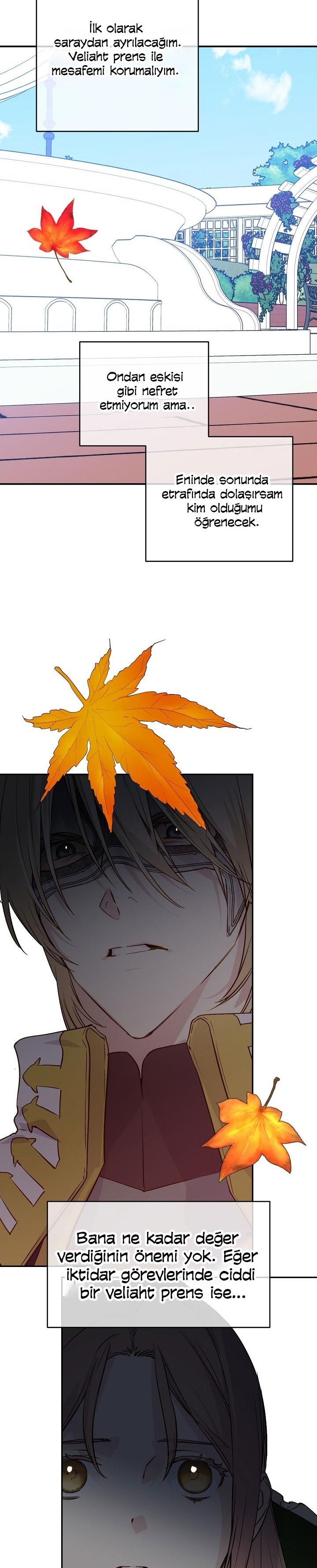 17-cm2xdfr0s0001tt82570od8ls