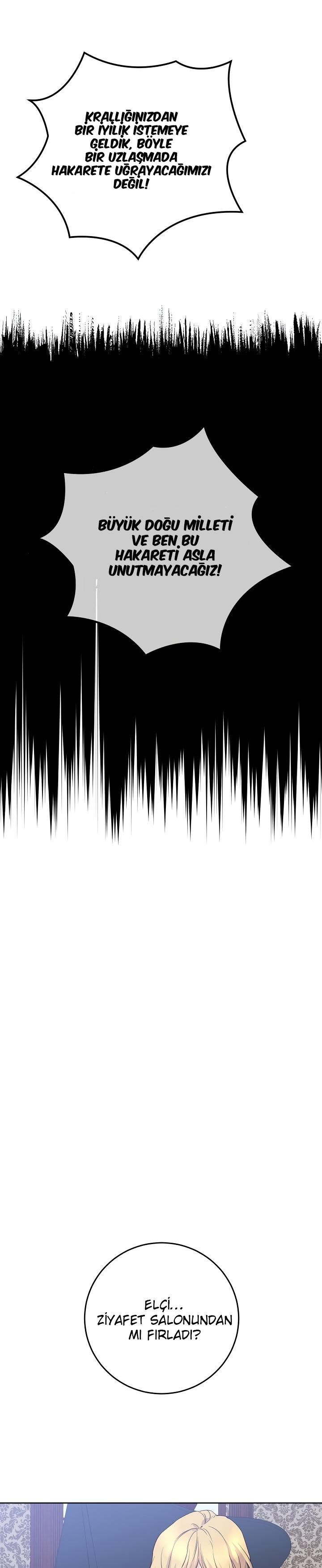 22-cm2xdfr0s0001tt82570od8ls